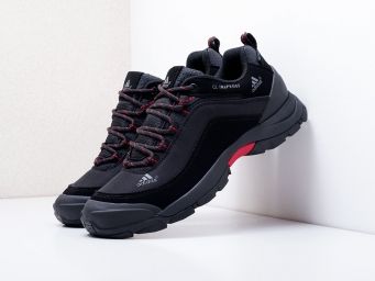 Кроссовки Adidas Terrex Артикул: 18234