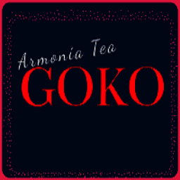 Компания "GOKO"