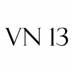 VN13
