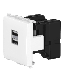 Розетка USB 2.0 тип А CADUCEUS ALING EXPERIENCE для скрытой проводки, для зарядки 2-х устройств